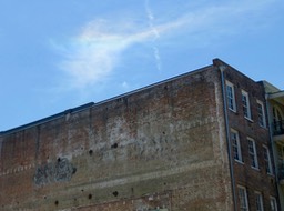 IMG_7603.jpg