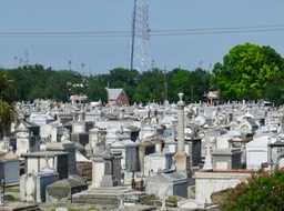 IMG_7627
