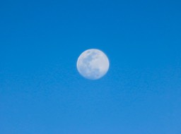 IMG_7646.jpg