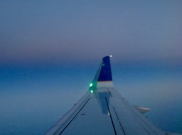 IMG_7683.jpg