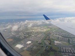 IMG_9326.jpg