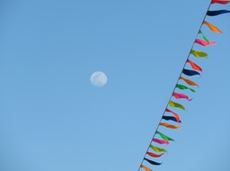 IMG_5915.jpg