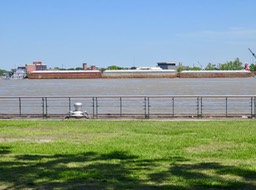 IMG_9664
