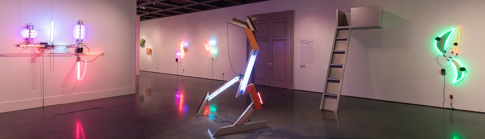 noma 5