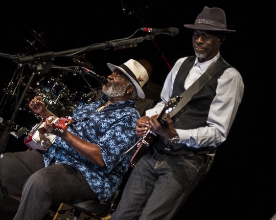 taj 11